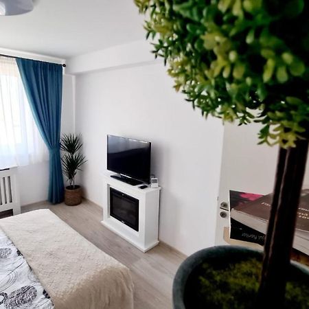 Cozy Studio Apartment Brasov Ngoại thất bức ảnh