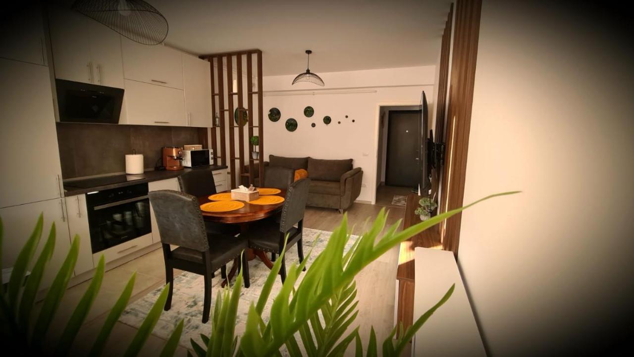 Cozy Studio Apartment Brasov Ngoại thất bức ảnh