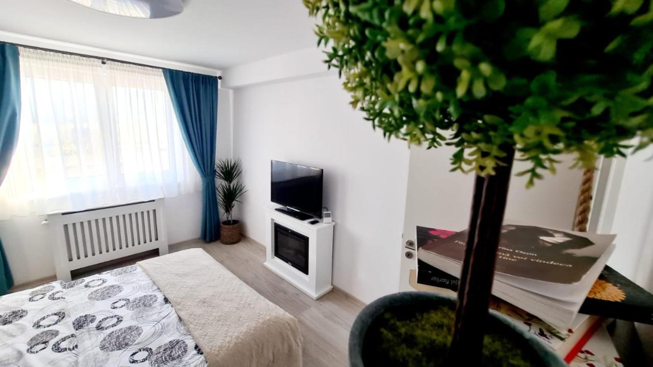Cozy Studio Apartment Brasov Ngoại thất bức ảnh