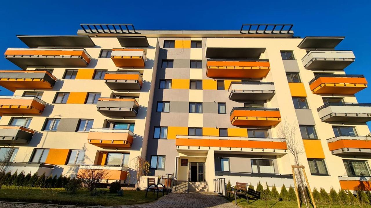 Cozy Studio Apartment Brasov Ngoại thất bức ảnh