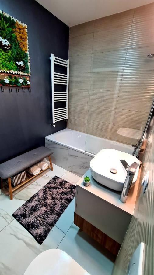 Cozy Studio Apartment Brasov Ngoại thất bức ảnh